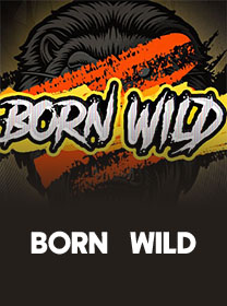 Born Wild Game 2026: Fitur Unggulan dan Review